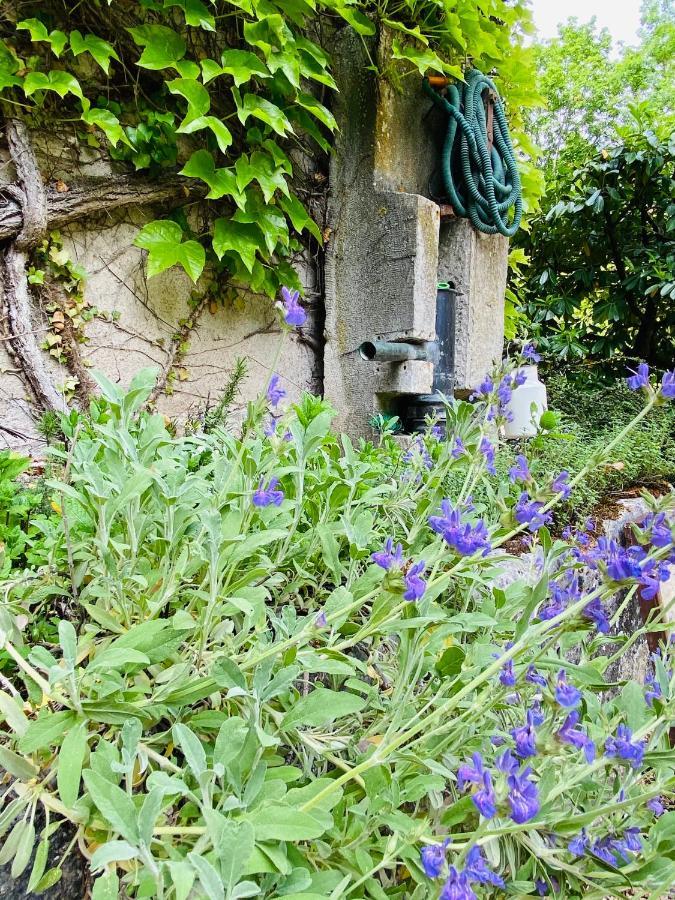 Les Chambres D'Hotes Du Bois Joli Semur-en-Auxois Bagian luar foto