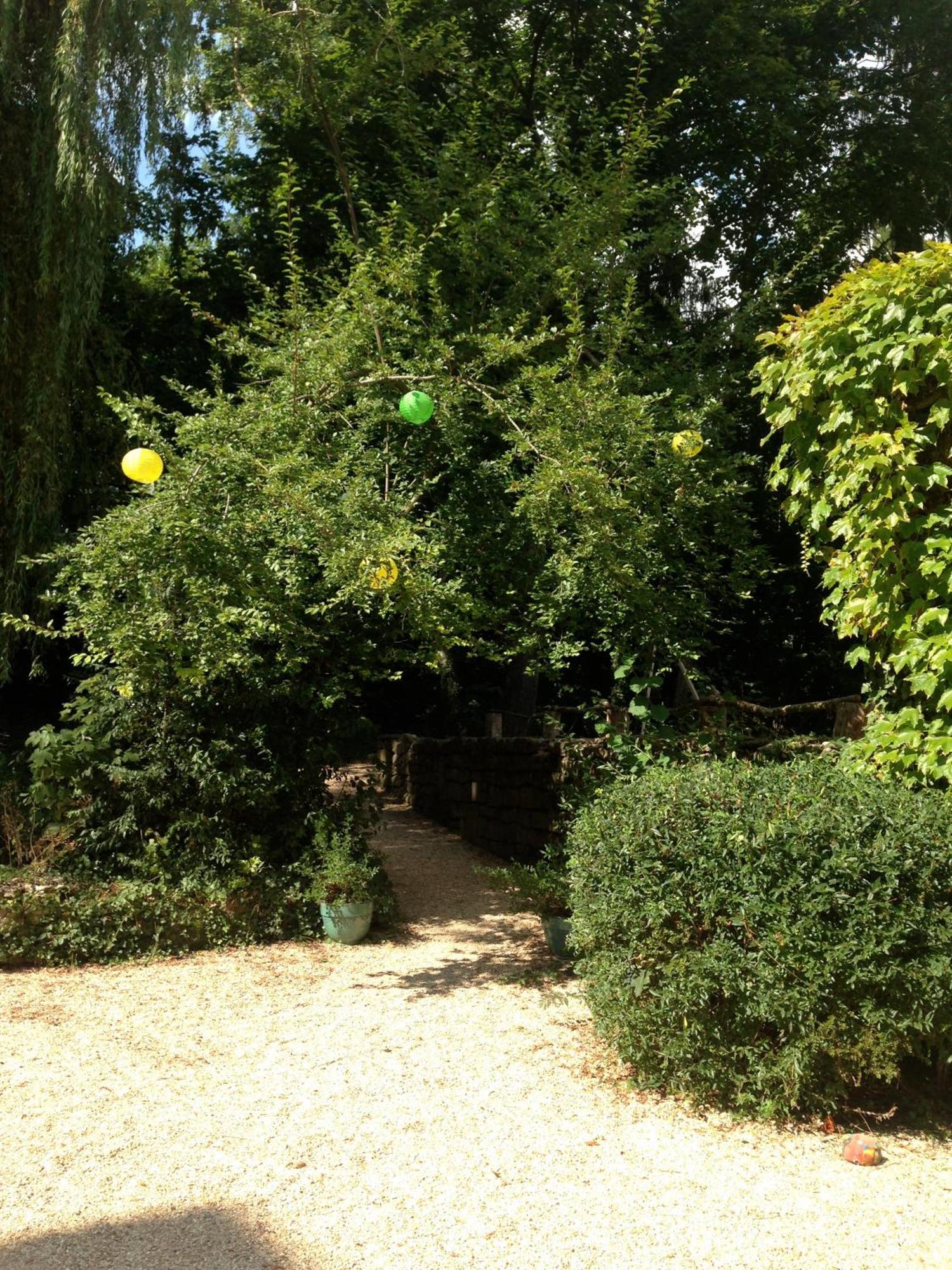 Les Chambres D'Hotes Du Bois Joli Semur-en-Auxois Bagian luar foto